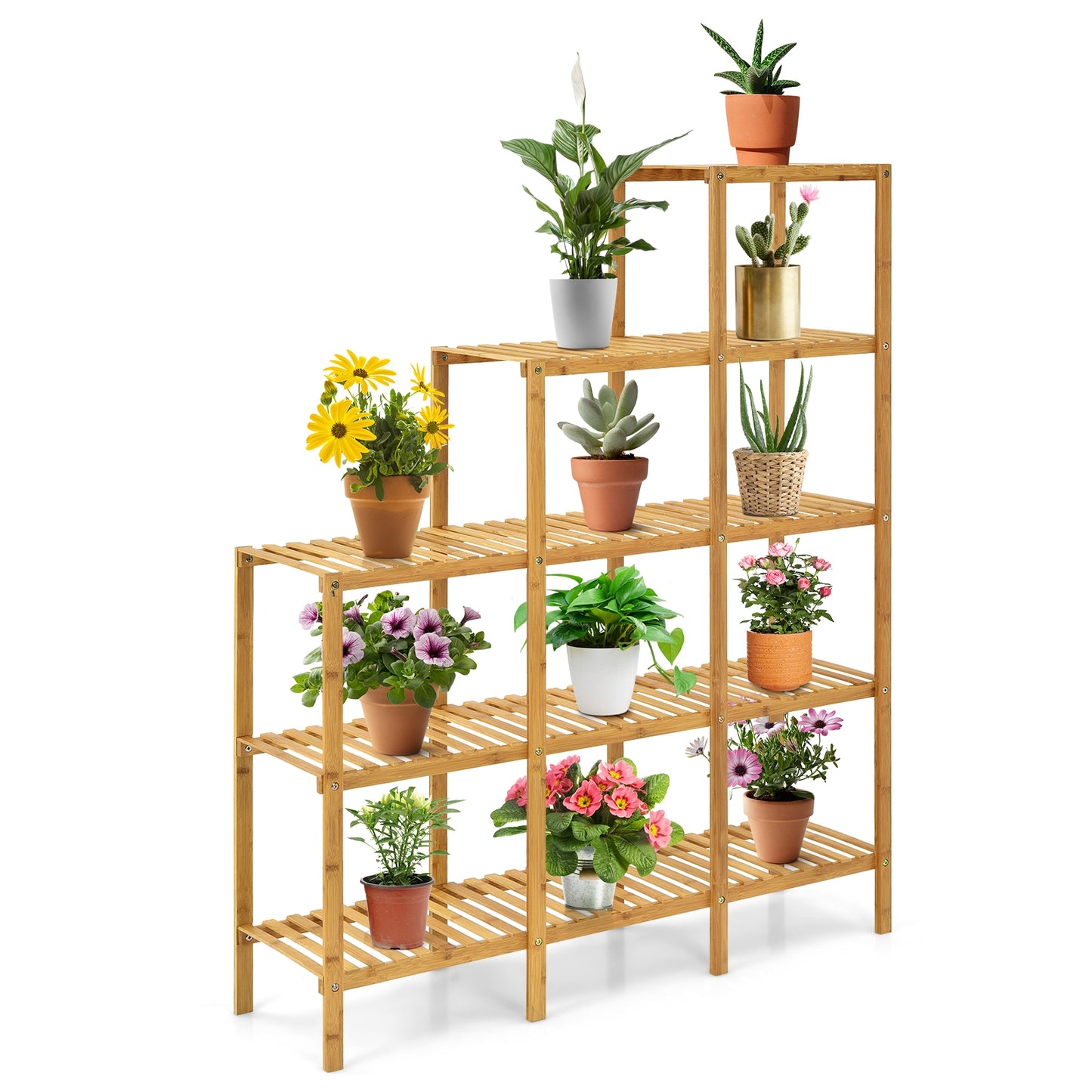 Multifunctional Bamboo Plant Shelf Display Organizer Kids Crystal