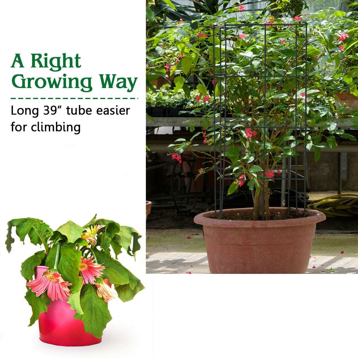 4 Pack Garden Trellis for Climbing Plants for Flower Vegetable Kids Crystal