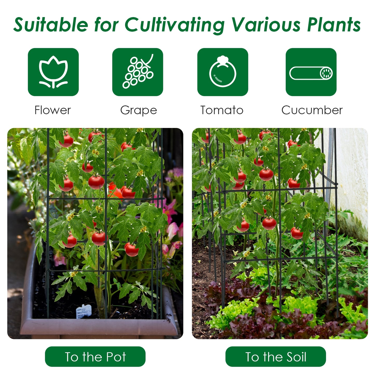 4 Pack Garden Trellis for Climbing Plants for Flower Vegetable Kids Crystal