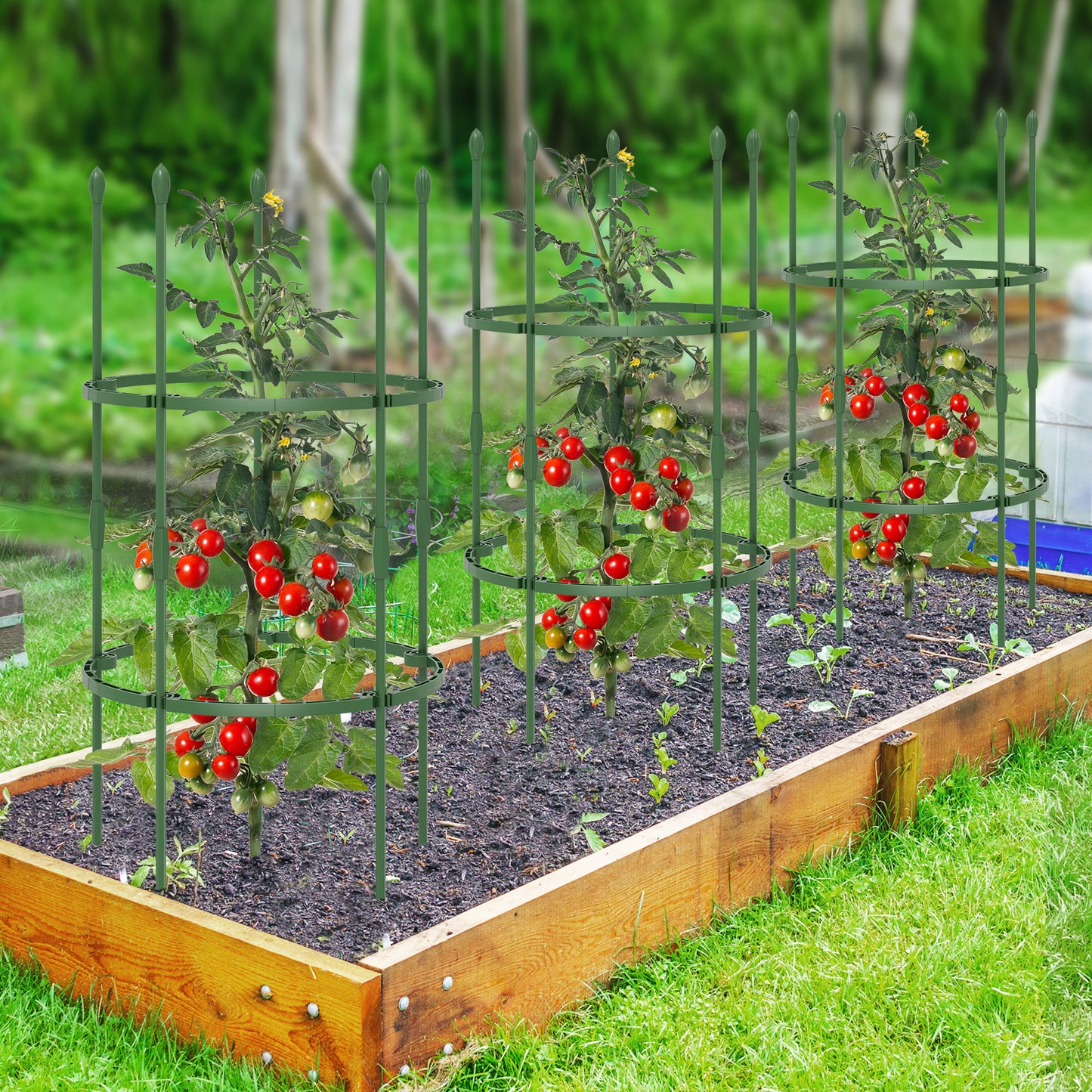 3-Pack Garden Trellis 60 Inch Tall Plant Support Stands with Clips and Ties-S Kids Crystal