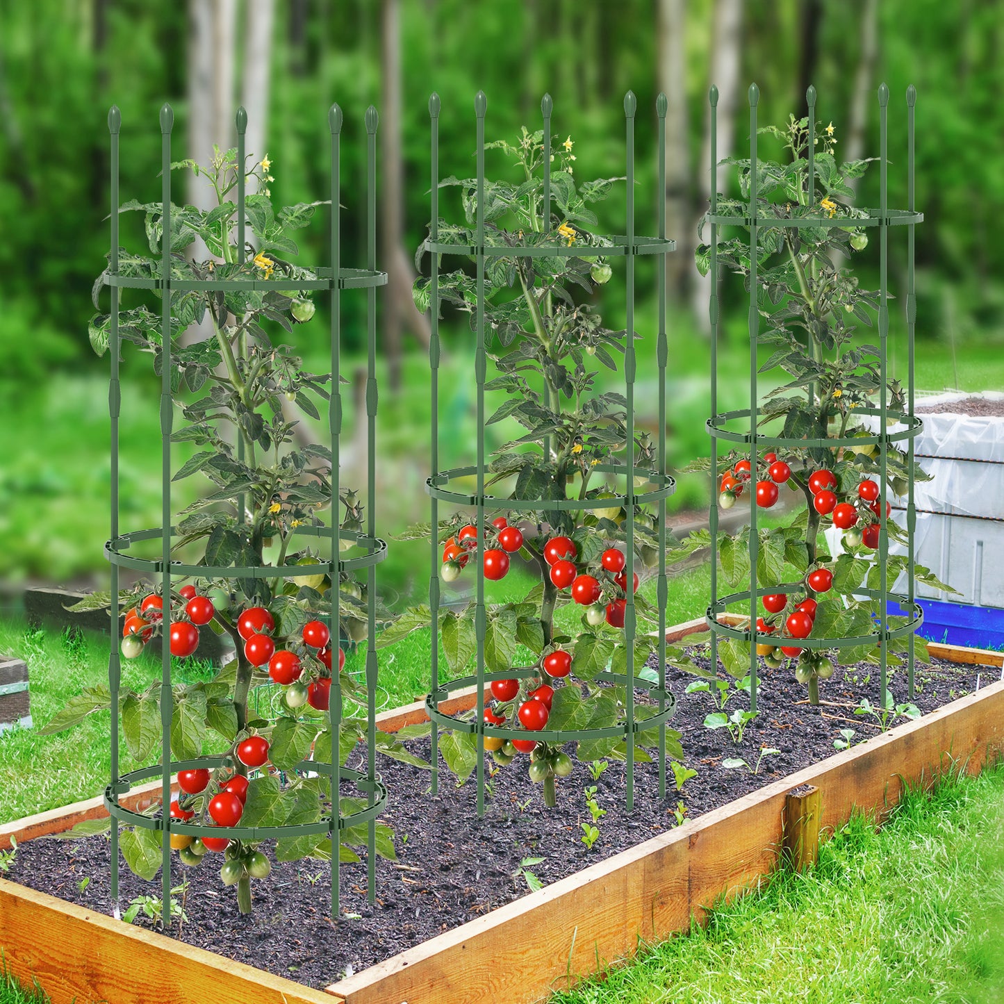 3-Pack Garden Trellis 40 Inch Tall Plant Support Stands with Clips and Ties-M Kids Crystal