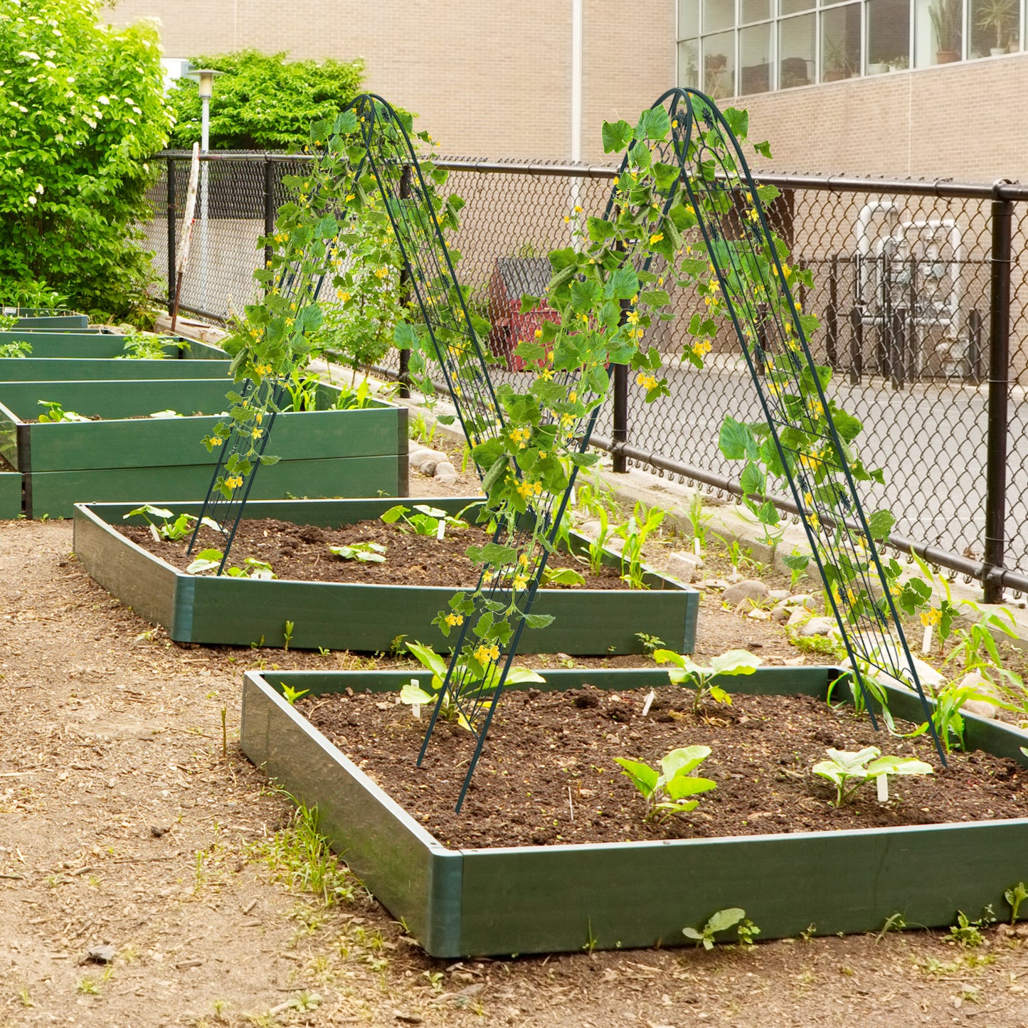 2 Pack 71 x 20 Inch Metal Garden Trellis Rustproof Plant Support for Climbing Plants-Green Kids Crystal