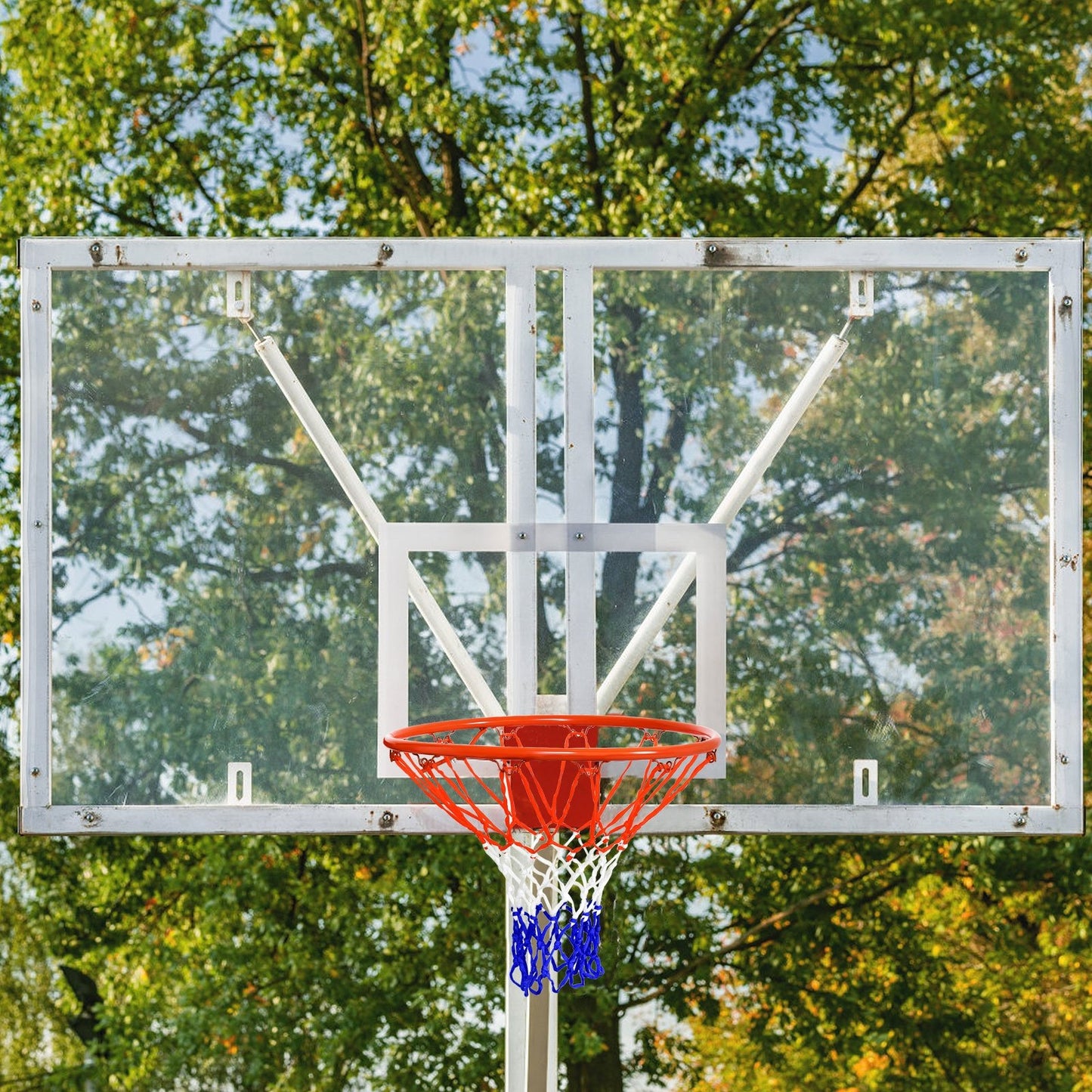 18 inch Wall Mounted Basketball Hoop Kids Crystal