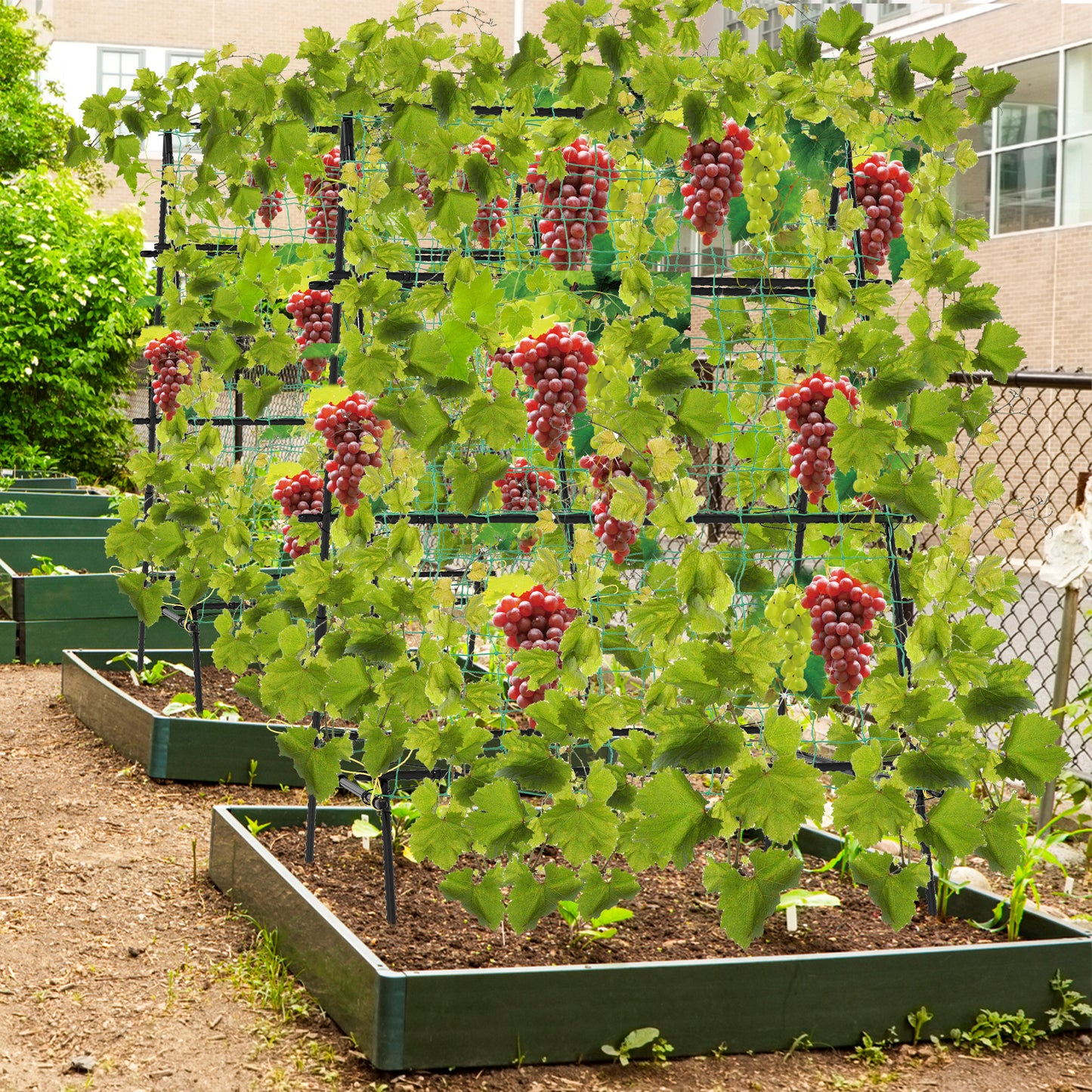 A-Frame Garden Cucumber Trellis with Netting for Climbing Plants Outdoor-Black Kids Crystal