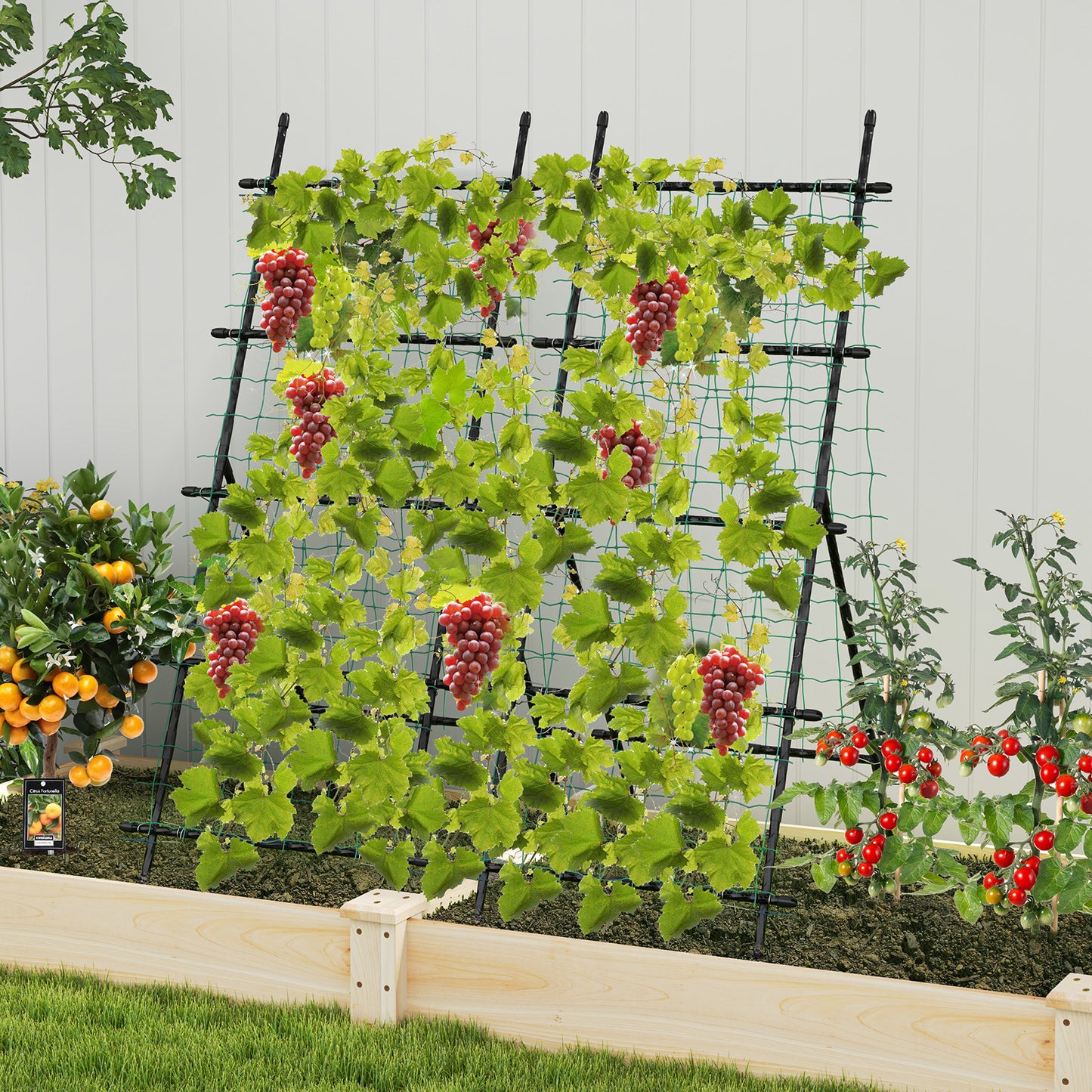74 Inch Tall Garden Trellis for Flower Vine Vegetable Fruit Pea-Black Kids Crystal