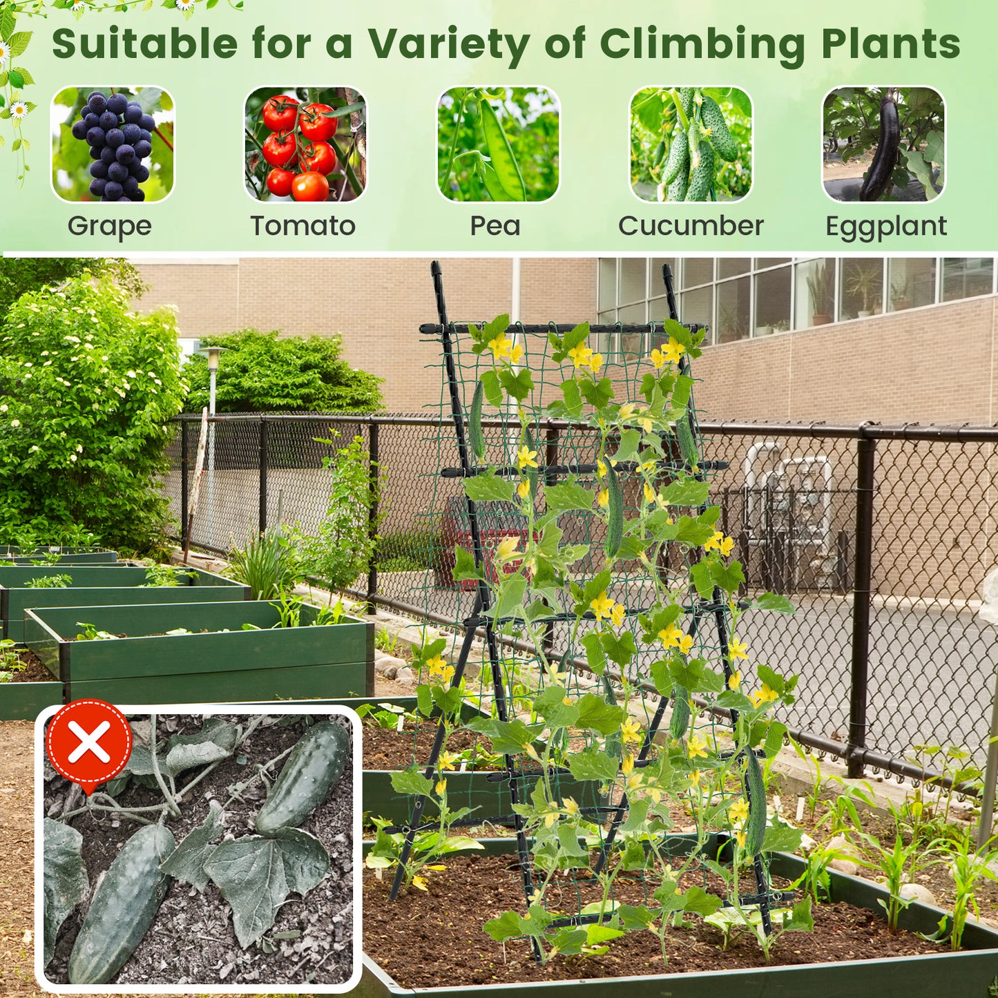 74 Inch Tall Garden Trellis for Flower Vine Vegetable Fruit Pea-Black Kids Crystal