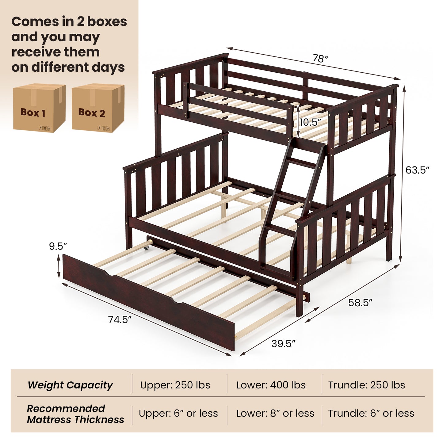 3-in-1 Twin Over Full Bunk Bed with Trundle and Ladder-Espresso Kids Crystal