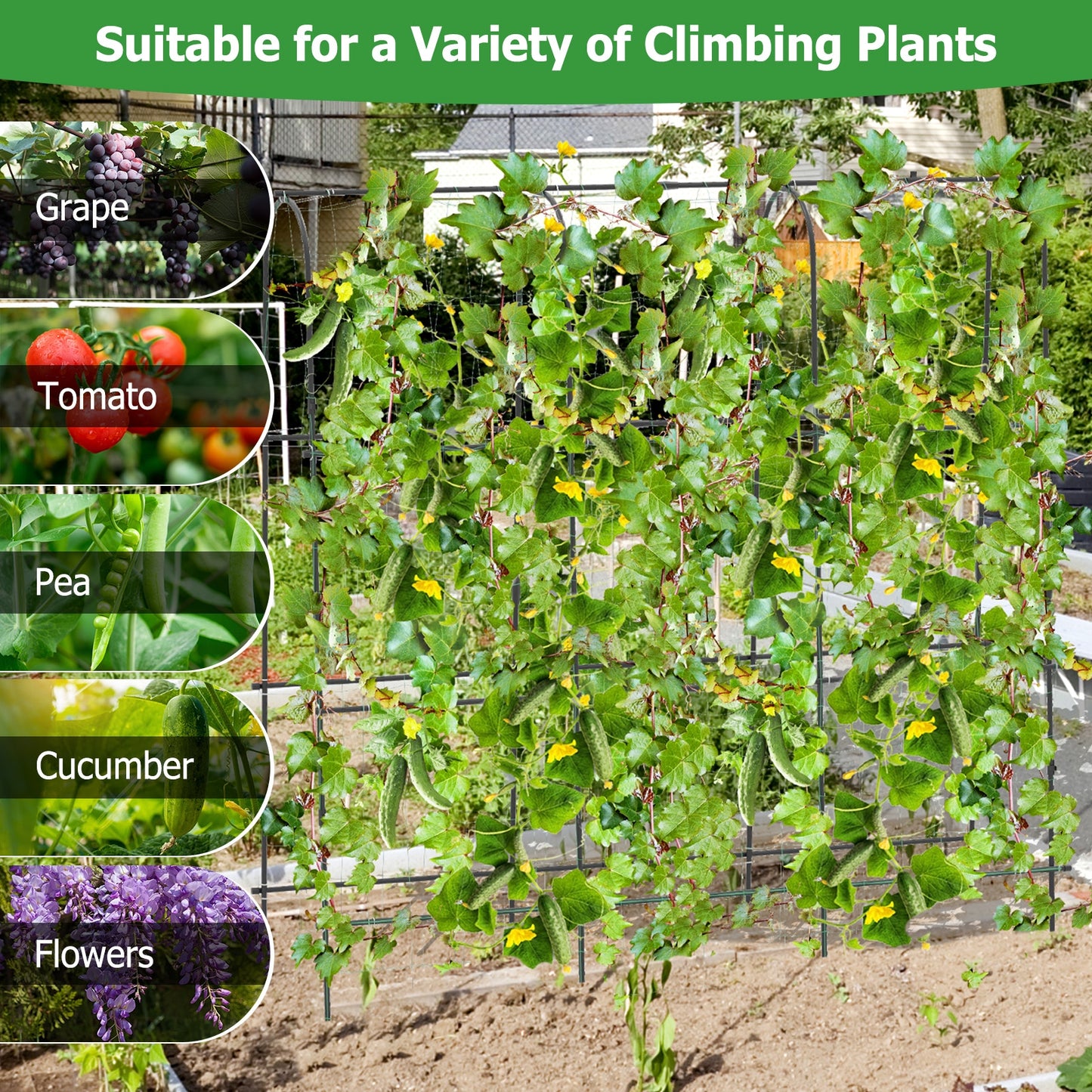 71 x 71 Inch U-Shaped Tall Garden Arched Trellis for Climbing Plants Kids Crystal