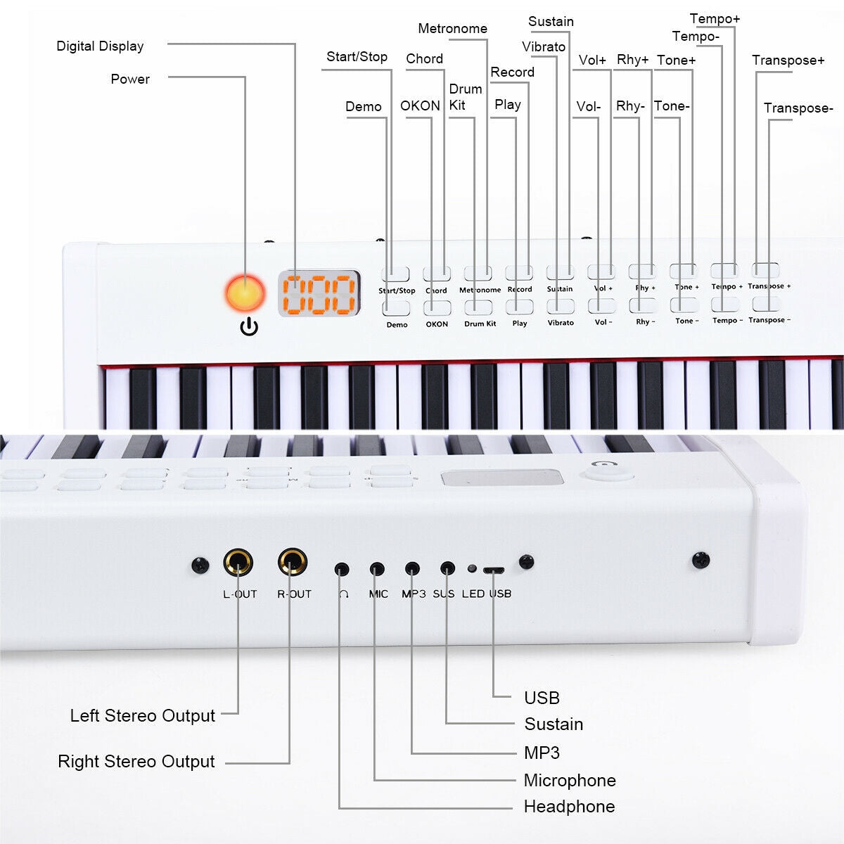 BX-II 88-key Portable Digital Piano with  MP3-White Kids Crystal