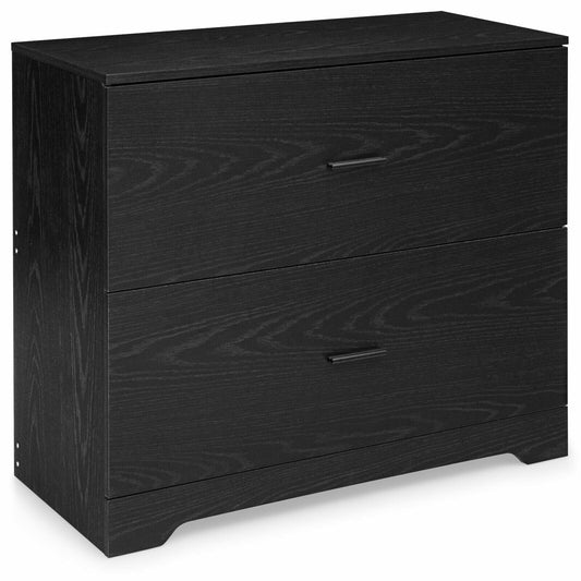 2-Drawer Lateral File Cabinet with Adjustable Bars for Home and Office-Black Kids Crystal