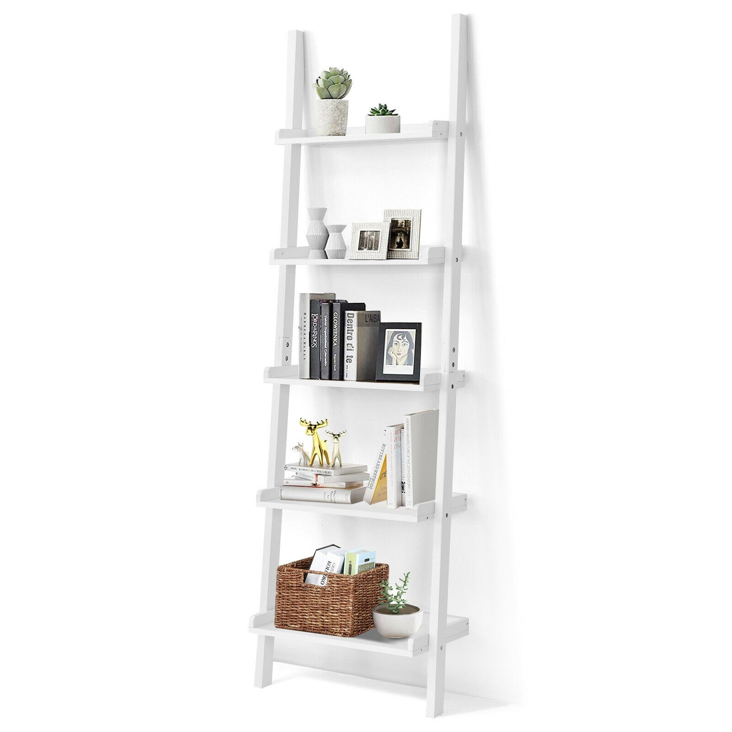 5-Tier Wall-leaning Ladder Shelf Display Rack for Plants and Books-White Kids Crystal