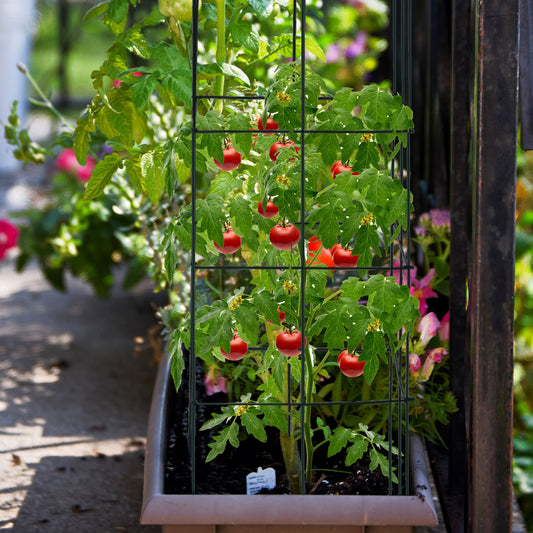 4 Pack Garden Trellis for Climbing Plants for Flower Vegetable Kids Crystal