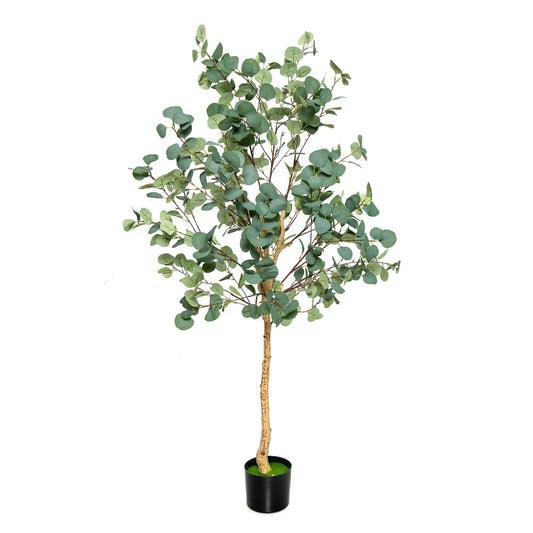 5.5 Feet Artificial Eucalyptus Tree with 517 Silver Dollar Leaves-1 Pack Kids Crystal