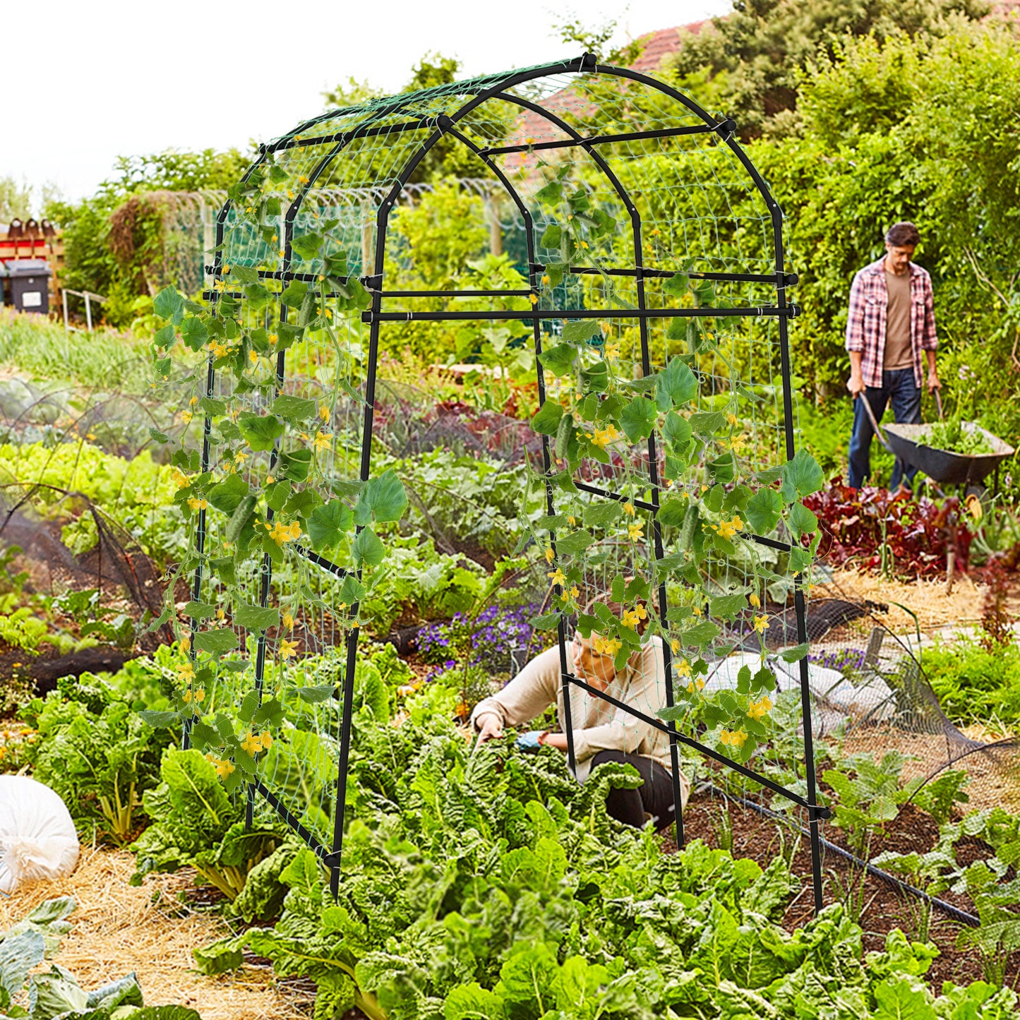 7.5 Feet Garden Arch Trellis with PE Coated Metal Structure Kids Crystal