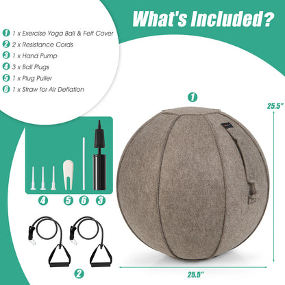 Yoga Sitting Ball with Felt Cover and Air Pump-Brown