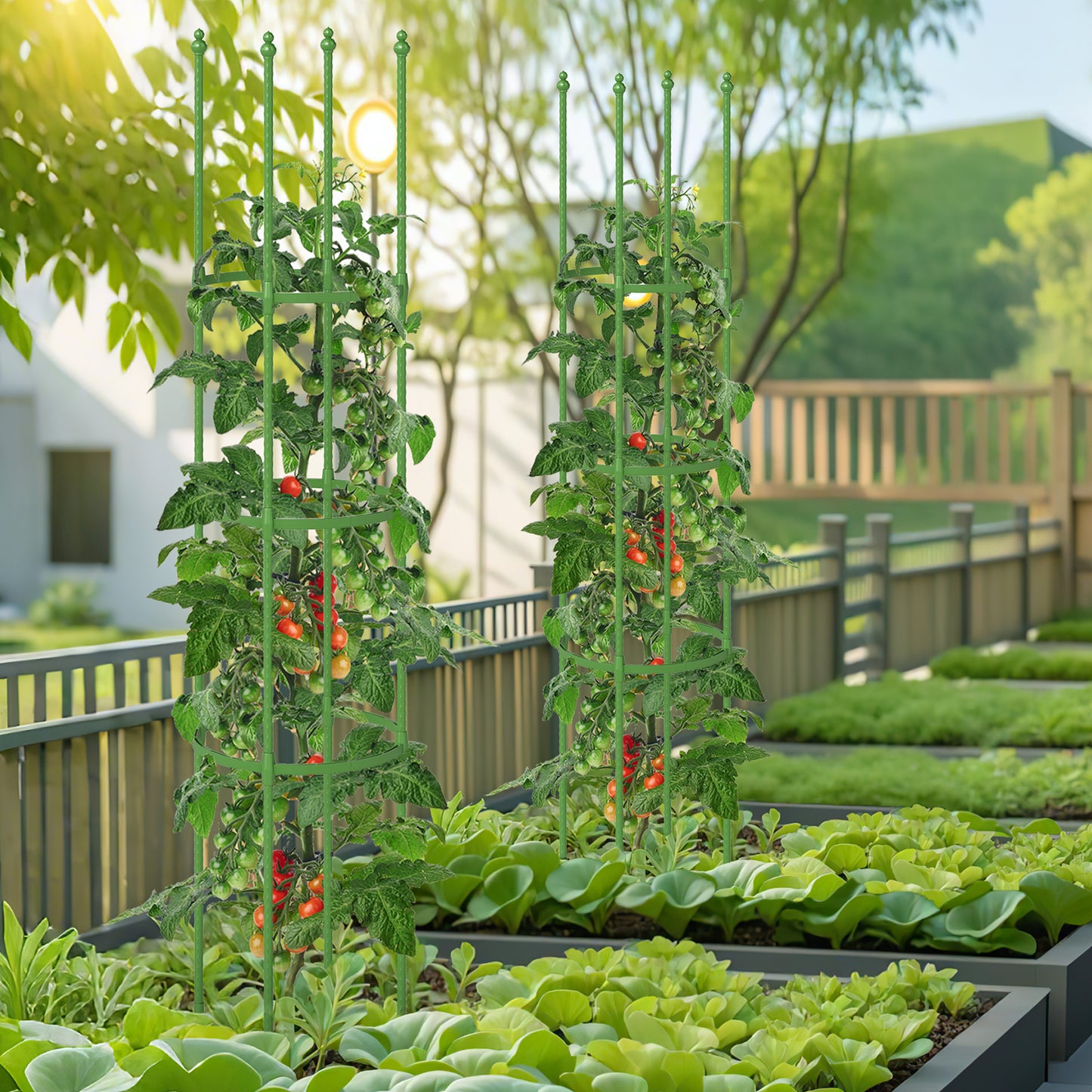 2-Pack Garden Trellis Tomato Cage with Adjustable Height-Green Kids Crystal