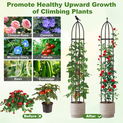GIANTEX 2-Pack Garden Obelisk Trellis for Climbing Plants-Black
