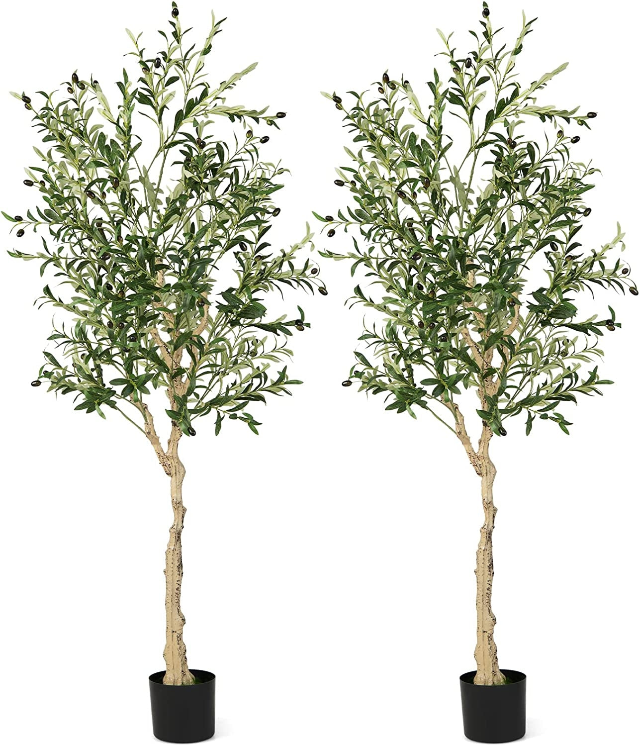 6 Feet Artificial Olive Tree in Cement Pot-2 Pieces Kids Crystal