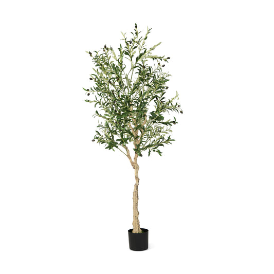 6 Feet  Artificial Olive Tree in Cement Pot-1 Piece Kids Crystal