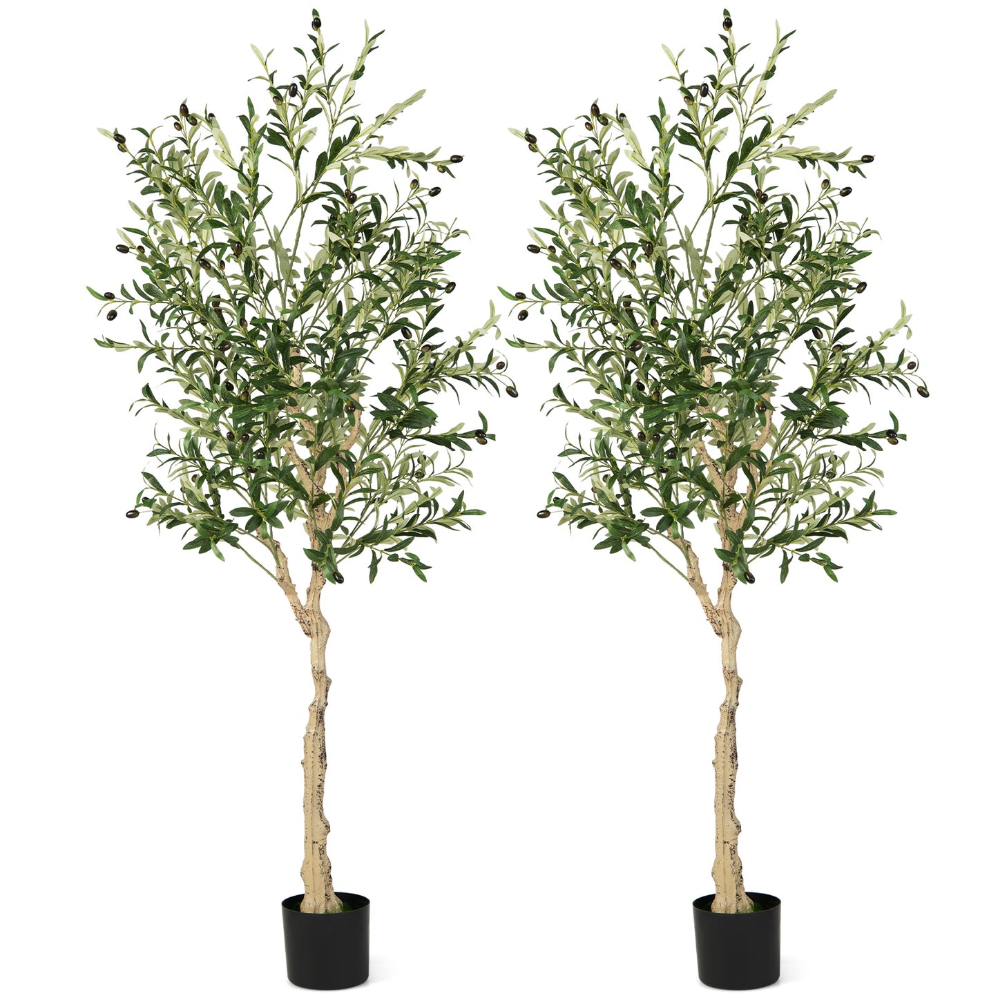 6 Feet  Artificial Olive Tree in Cement Pot-1 Piece Kids Crystal