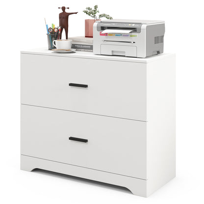 2-Drawer Lateral File Cabinet with Adjustable Bars for Home and Office-White